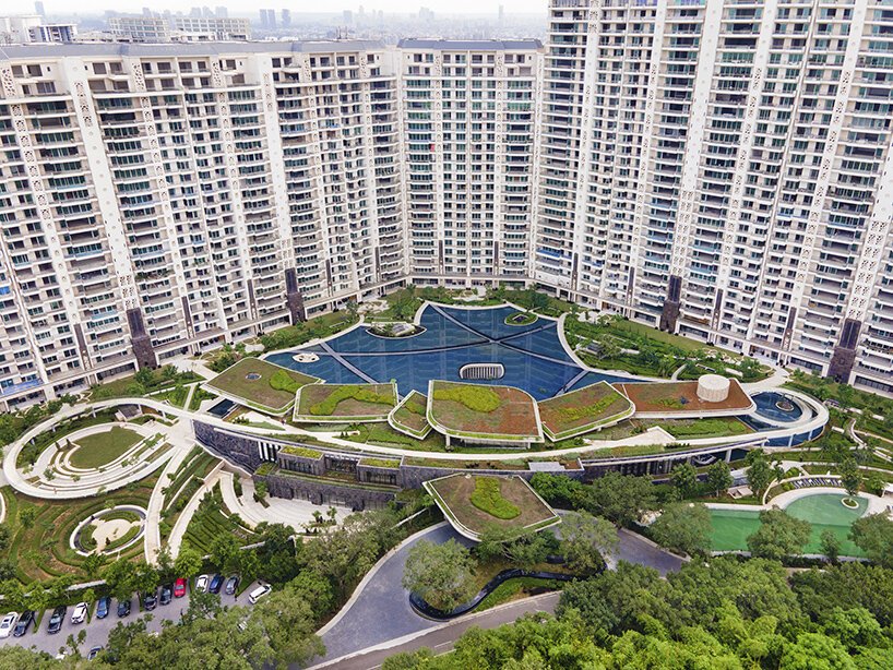 dlf camellias penthouse